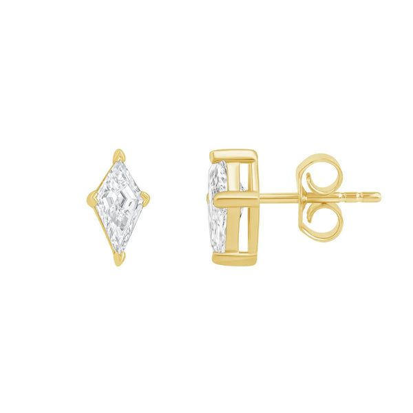 Vivid Flight Stud Earrings